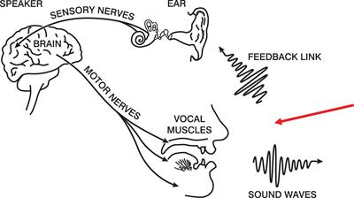 Perturbing the consistency of auditory feedback in speech